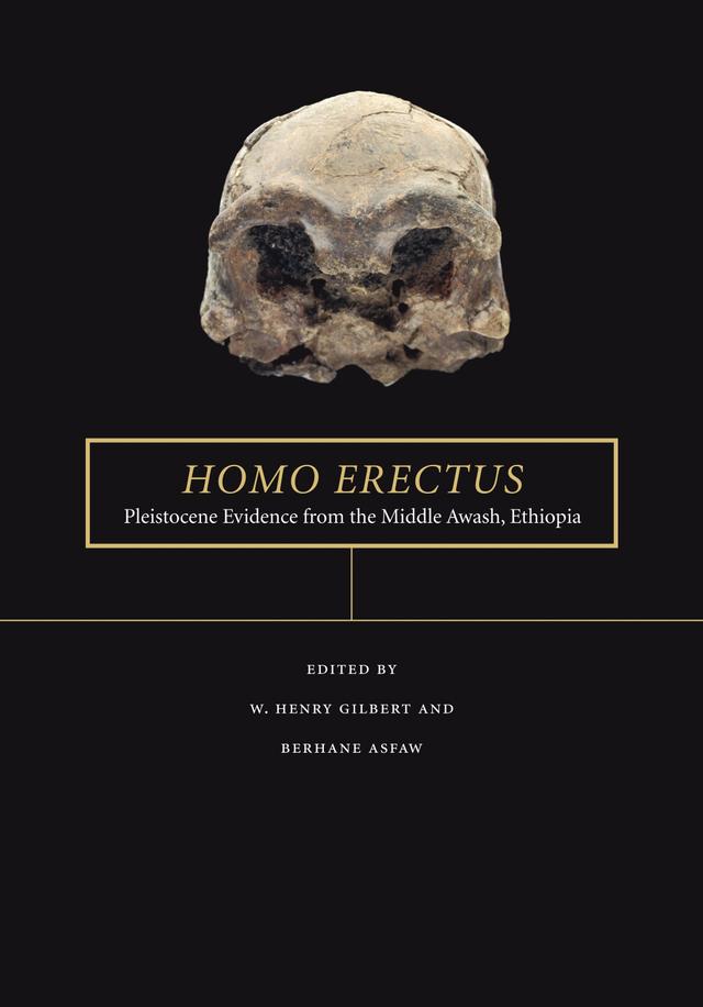 Homo erectus by Berhane Asfaw, W. Henry Gilbert
