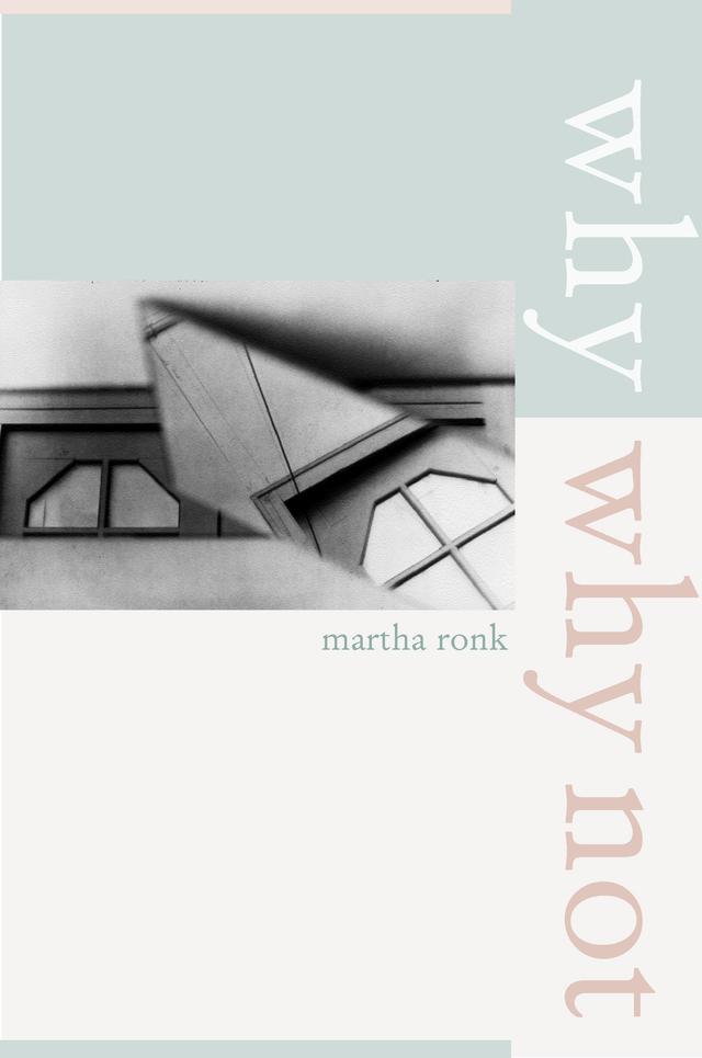 Why/Why Not by Martha Ronk