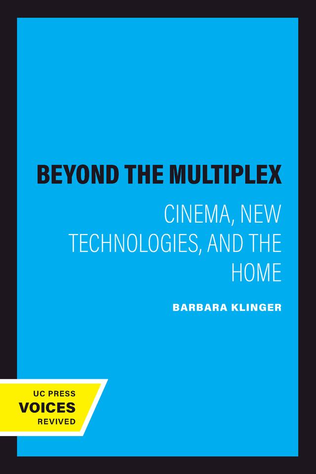 Beyond the Multiplex by Barbara Klinger