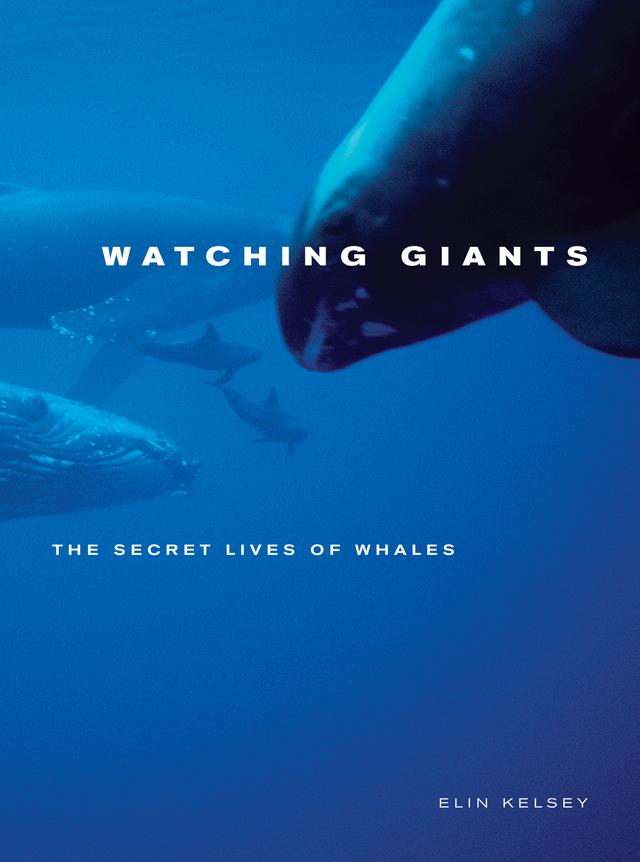 Watching Giants by Elin Kelsey