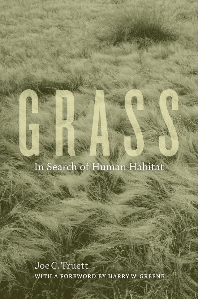 Grass by Joe C. Truett