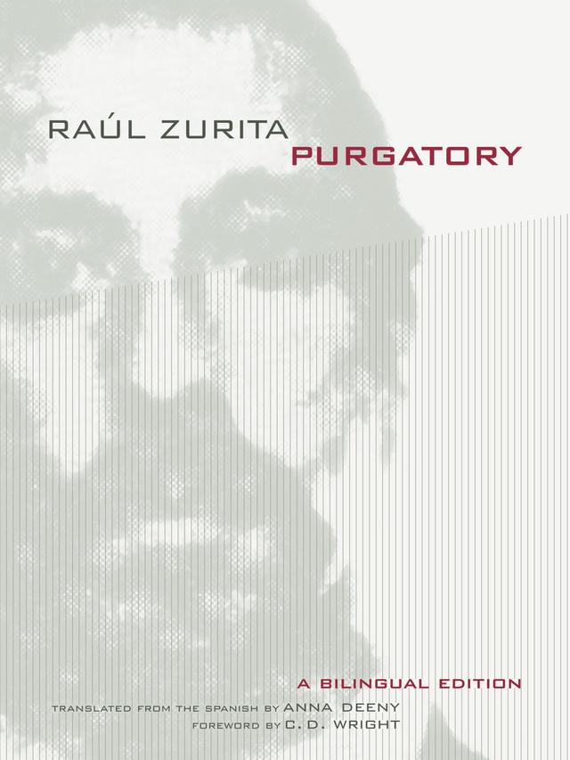 Purgatory by Raul Zurita