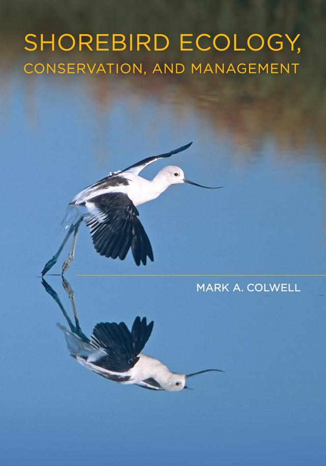 Shorebird Ecology, Conservation, and Management by Dr. Mark A. Colwell
