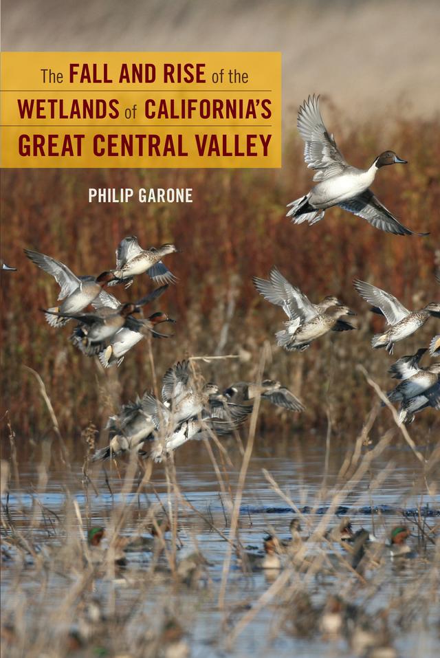 The Fall and Rise of the Wetlands of California's Great Central Valley by Philip Garone