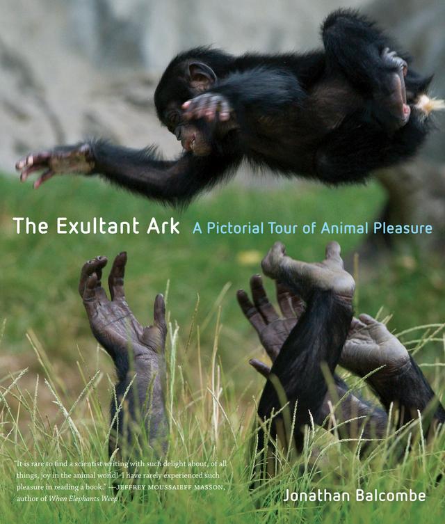 The Exultant Ark by Jonathan Peter Balcombe