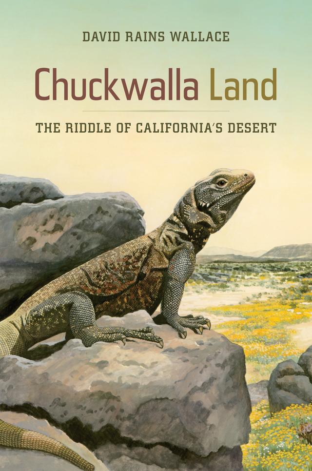 Chuckwalla Land by David Rains Wallace