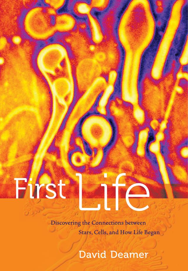 First Life by David Deamer