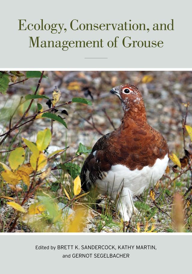 Ecology, Conservation, and Management of Grouse by Brett K. Sandercock, Gernot Segelbacher, Kathy Martin