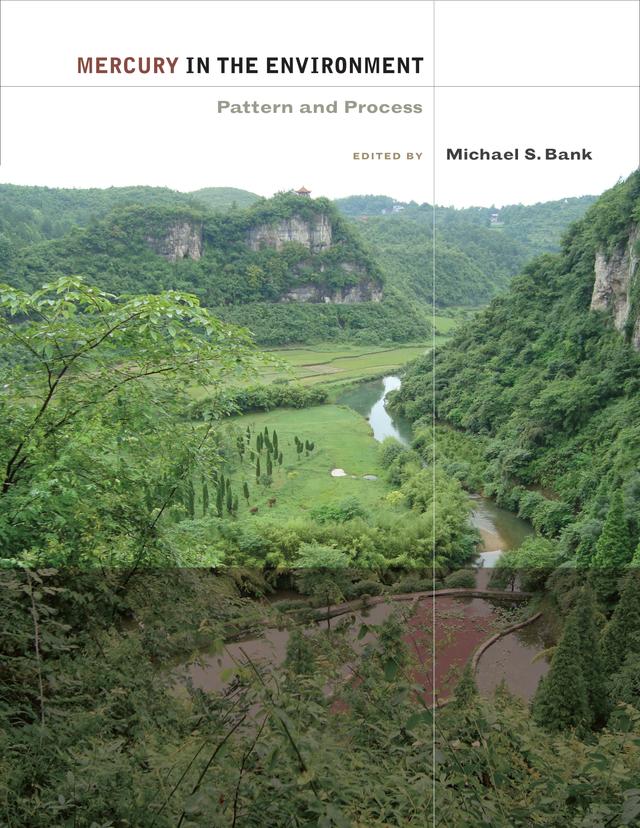 Mercury in the Environment by Michael S. Bank