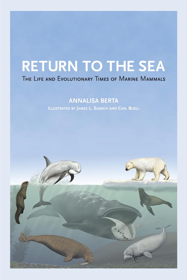 Return to the Sea by Annalisa Berta