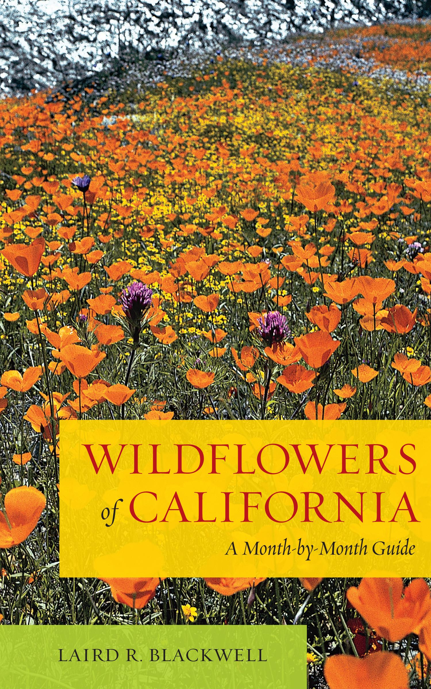 Wildflowers of California