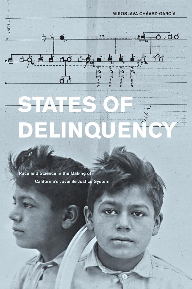 States of Delinquency by Miroslava Chavez-Garcia