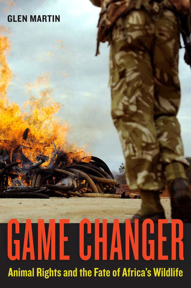 Game Changer by Glen Martin