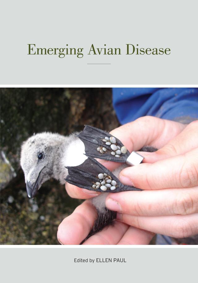 Emerging Avian Disease by Ellen Paul