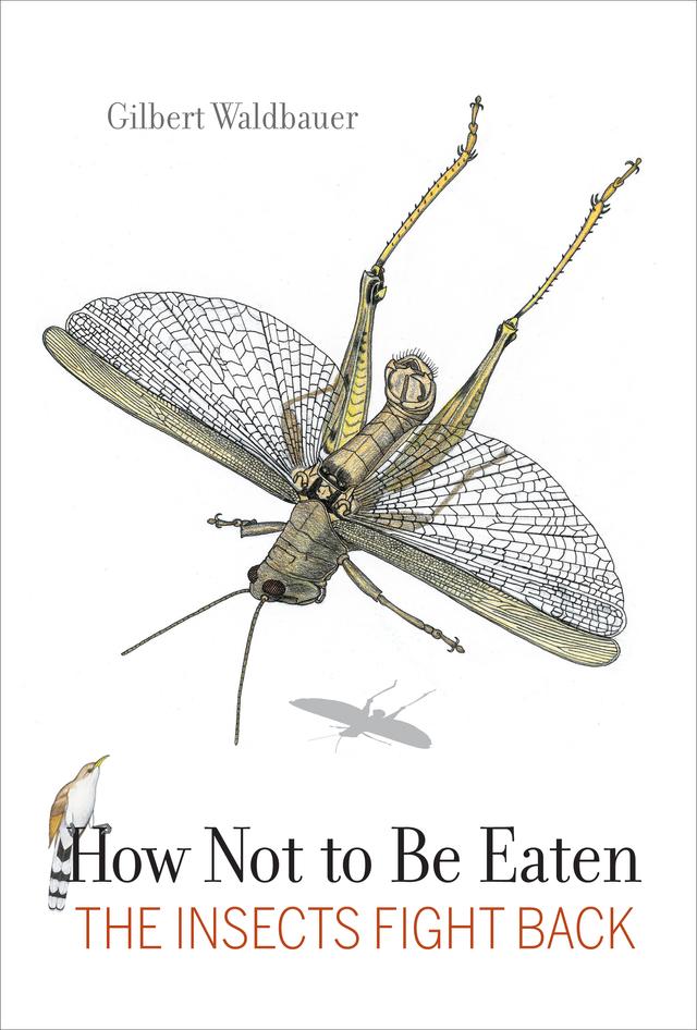 How Not to Be Eaten by Dr. Gilbert Waldbauer