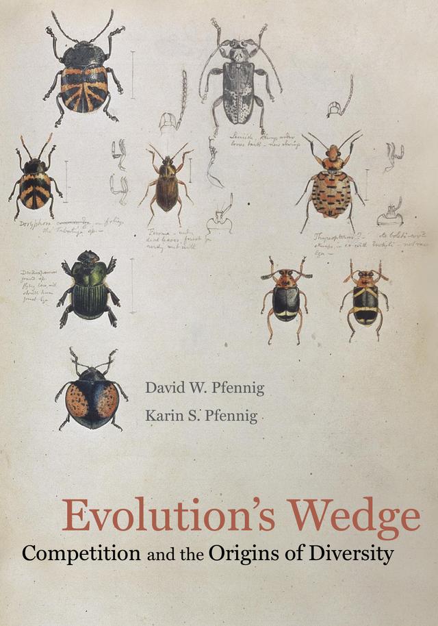 Evolution's Wedge by David Pfennig, Karin Pfennig