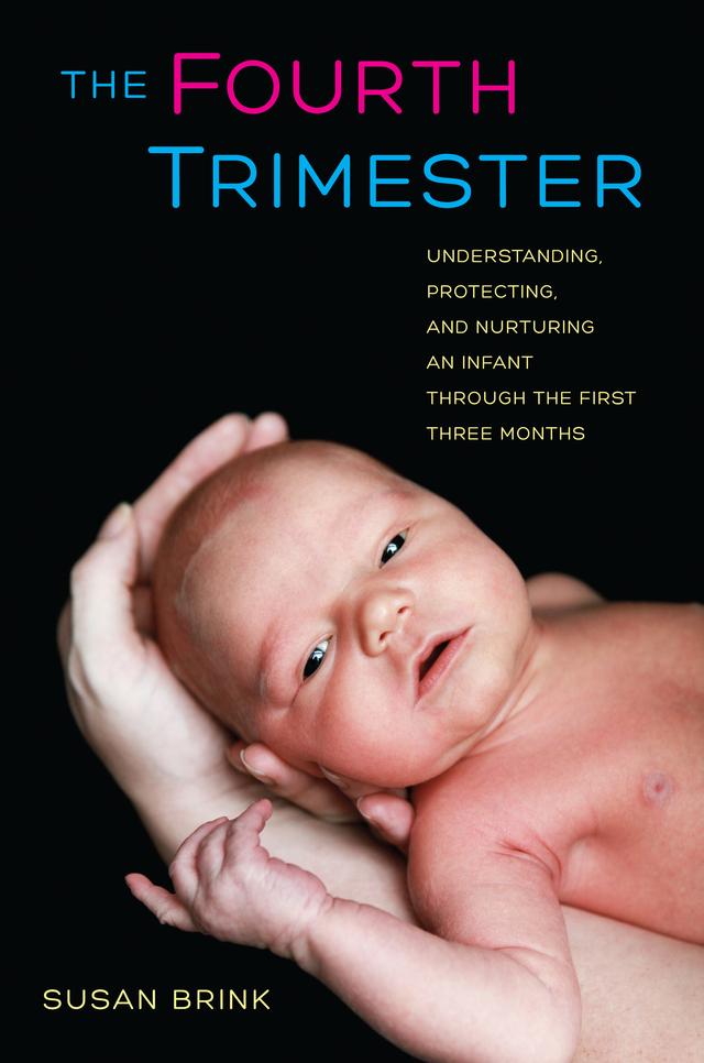 The Fourth Trimester by Susan Brink