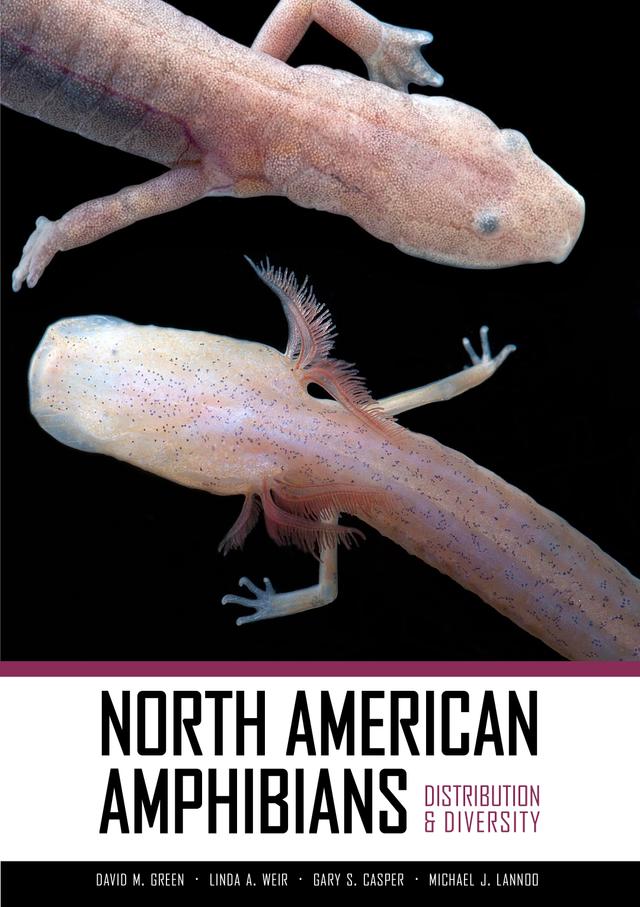 North American Amphibians by David M. Green, Gary S. Casper, Linda A. Weir, Michael Lannoo
