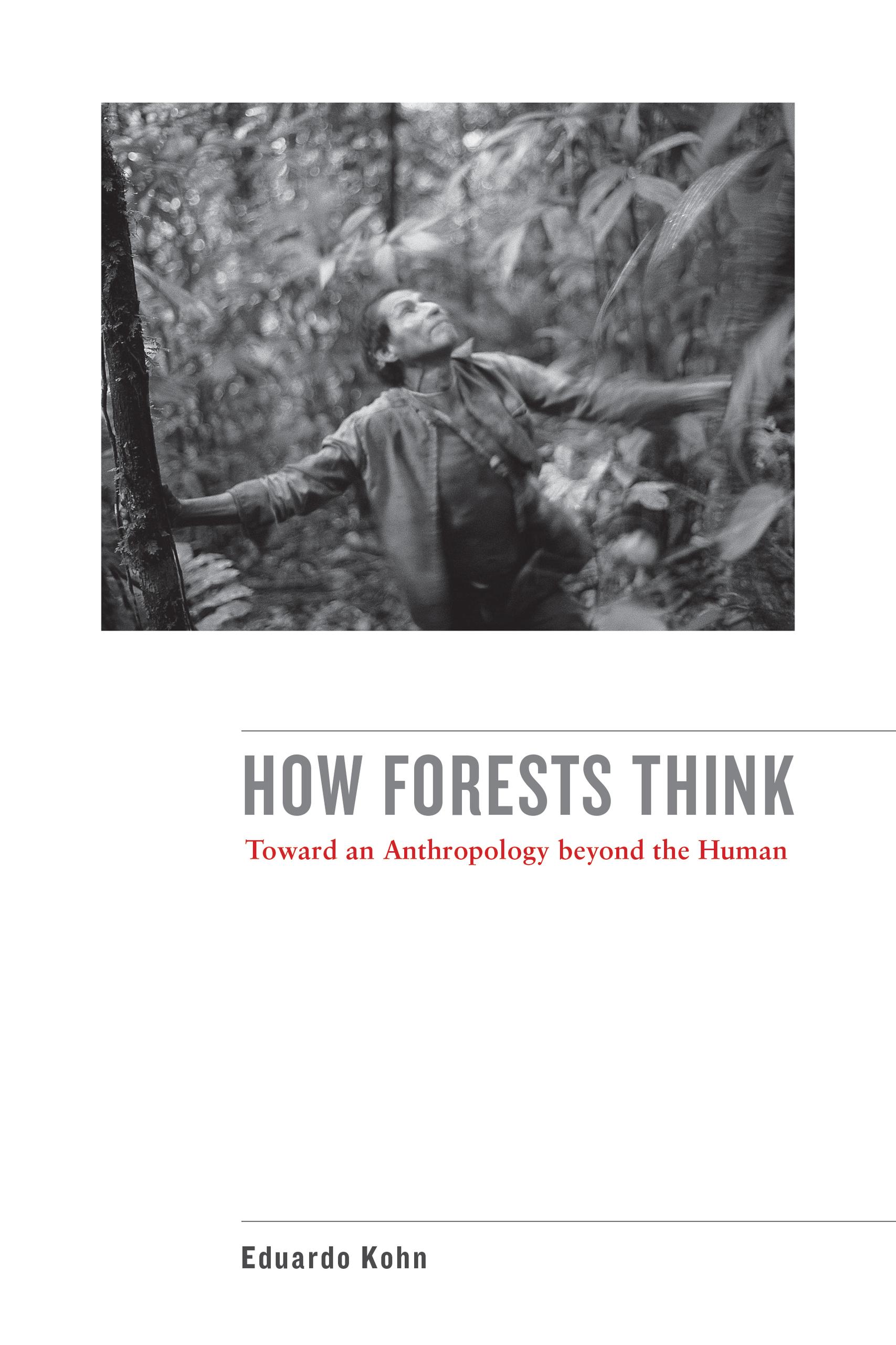 How Forests Think