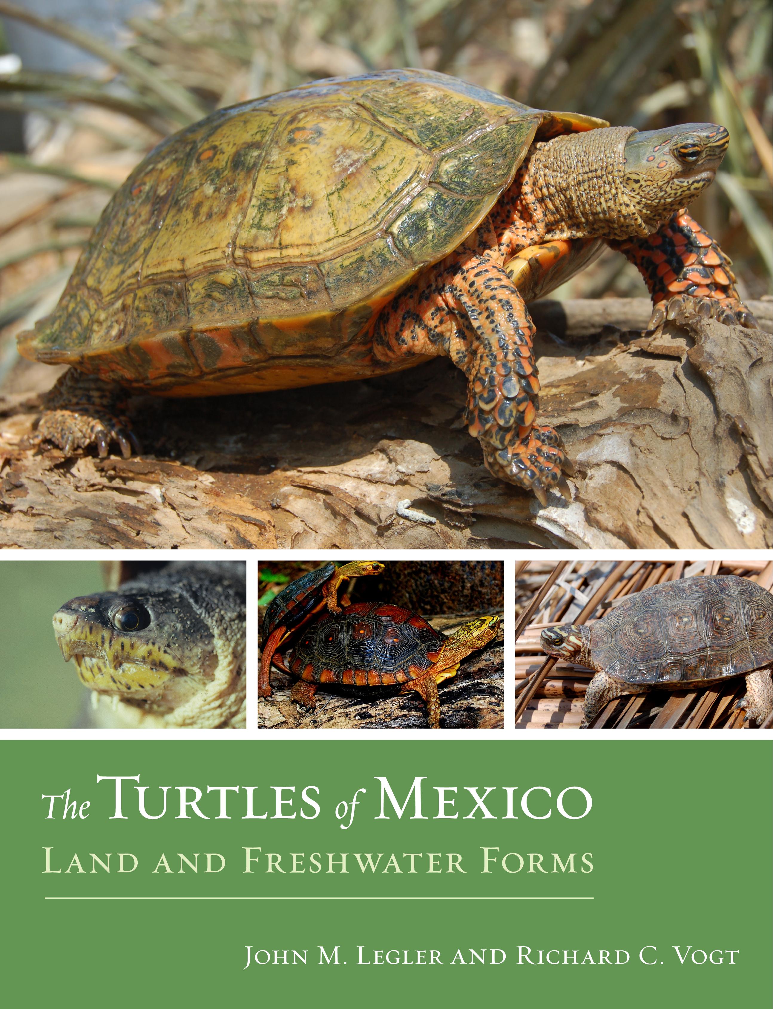 The Turtles of Mexico