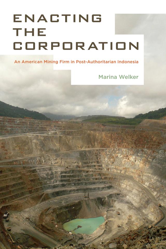 Enacting the Corporation by Marina Welker