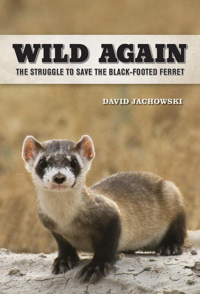 Wild Again by David S. Jachowski