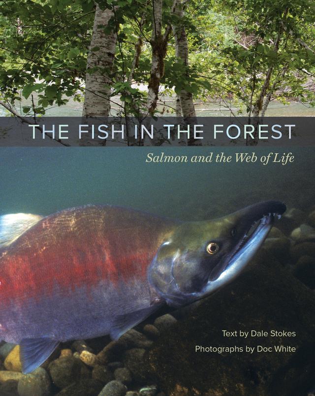 The Fish in the Forest by Dale Stokes