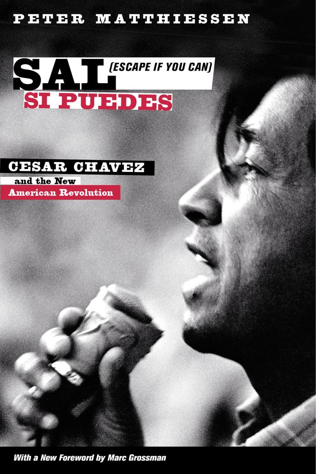 Sal Si Puedes (Escape If You Can) by Peter Matthiessen