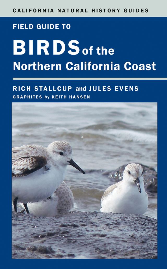 Field Guide to Birds of the Northern California Coast by Jules Evens, Rich Stallcup