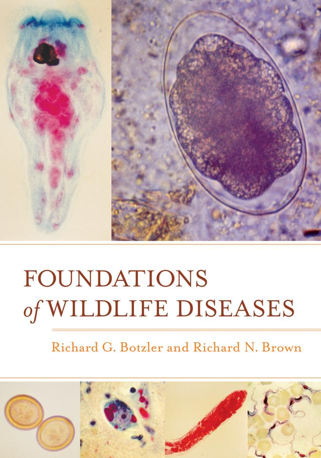Foundations of Wildlife Diseases by Richard G. Botzler, Richard N. Brown
