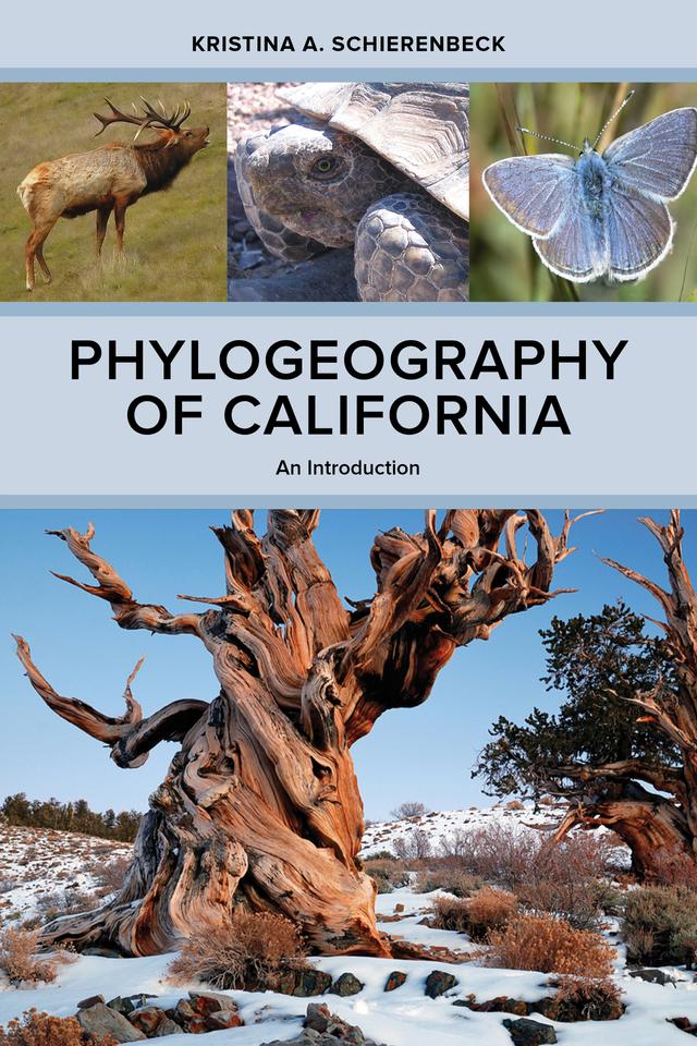 Phylogeography of California by Kristina A. Schierenbeck