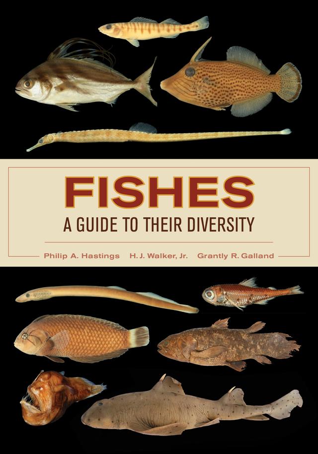 Fishes: A Guide to Their Diversity by Philip A. Hastings