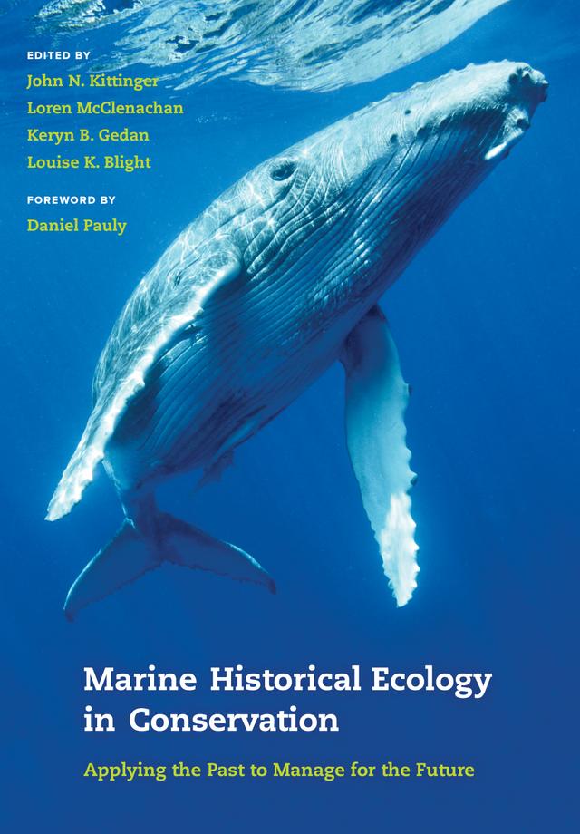 Marine Historical Ecology in Conservation by John N. Kittinger, Keryn B. Gedan, Loren McClenachan, Louise K. Blight