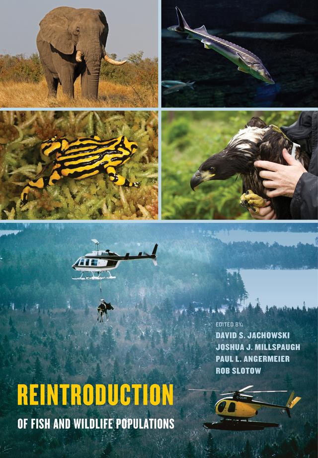 Reintroduction of Fish and Wildlife Populations by David S. Jachowski, Joshua J. Millspaugh, Paul L. Angermeier, Rob Slotow
