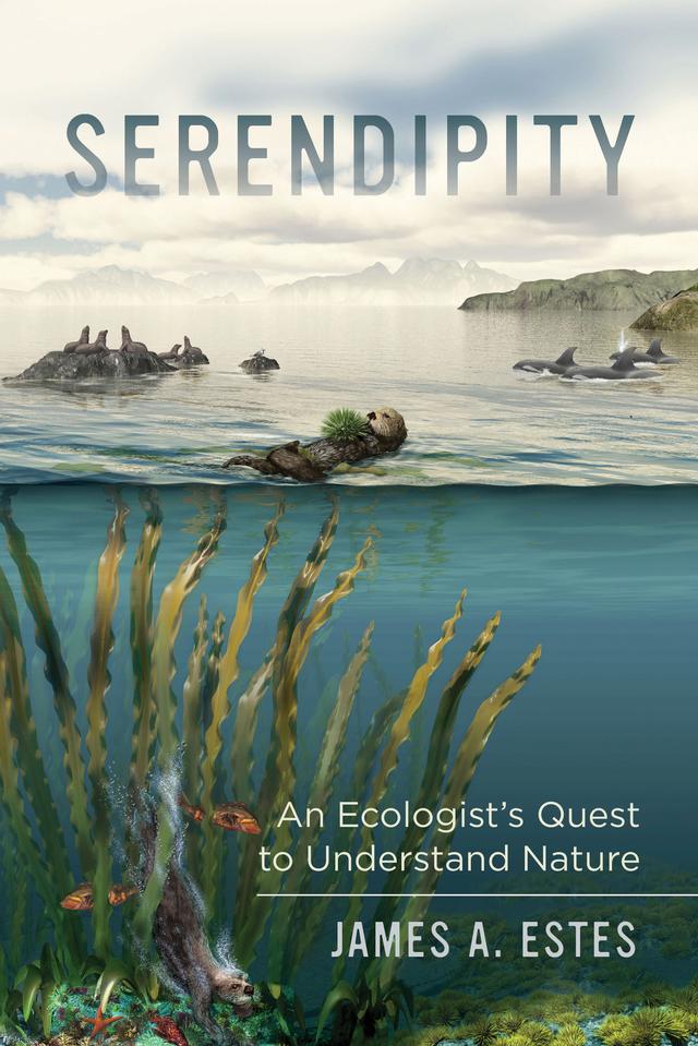 Serendipity by James A. Estes