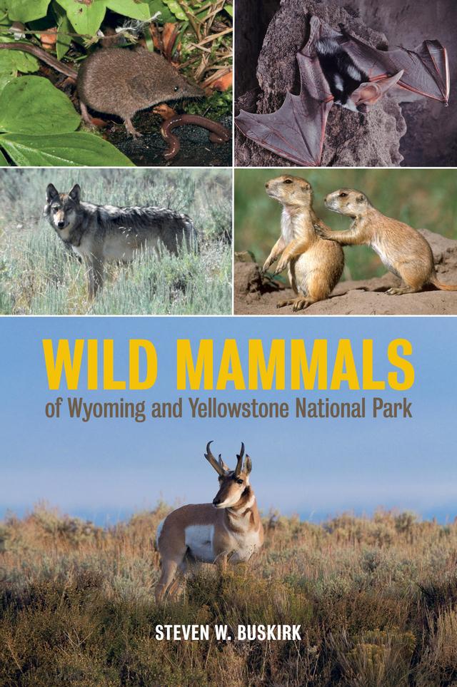 Wild Mammals of Wyoming and Yellowstone National Park by Steven W. Buskirk