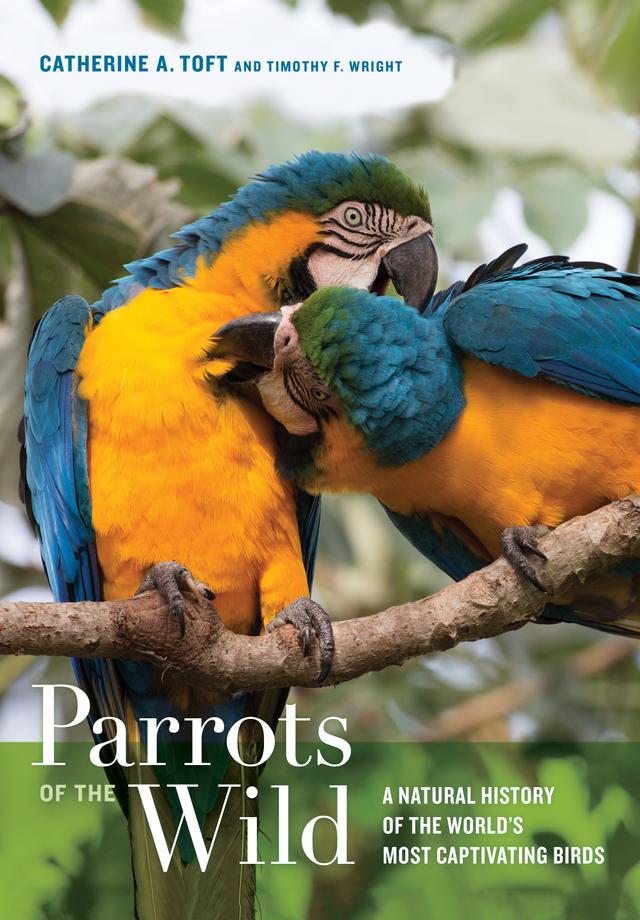 Parrots of the Wild by Catherine A. Toft, Timothy F. Wright
