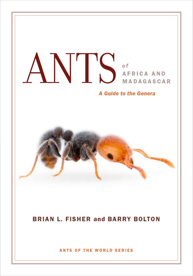 Ants of Africa and Madagascar by Barry Bolton, Brian L. Fisher