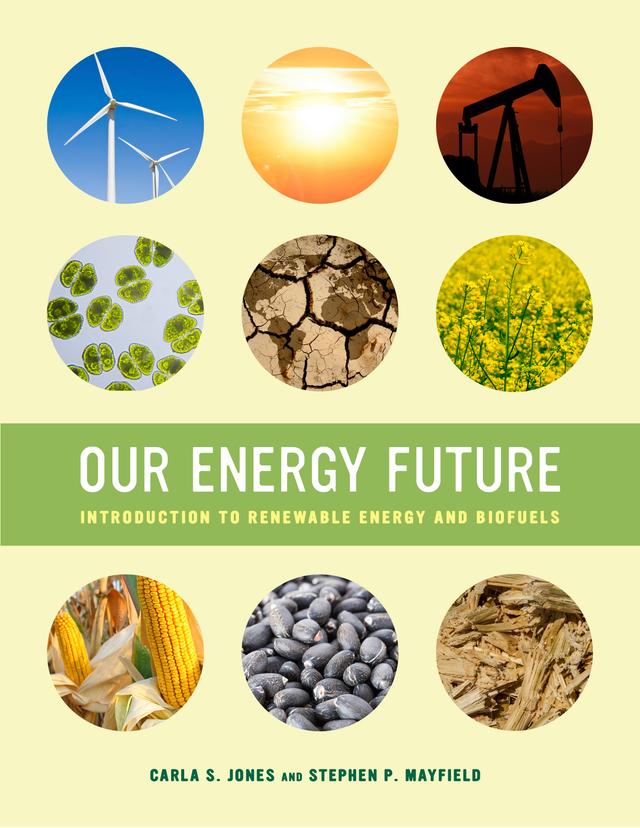 Our Energy Future by Carla S. Jones, Stephen P. Mayfield