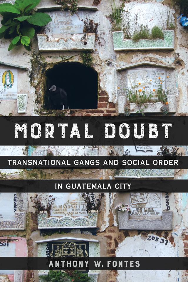 Mortal Doubt by Anthony W. Fontes