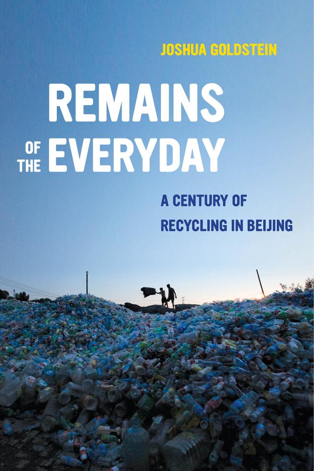 Remains of the Everyday by Joshua Goldstein