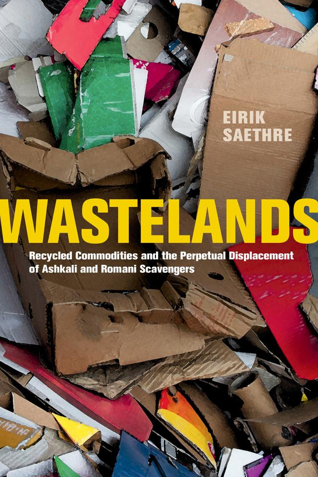 Wastelands by Eirik Saethre