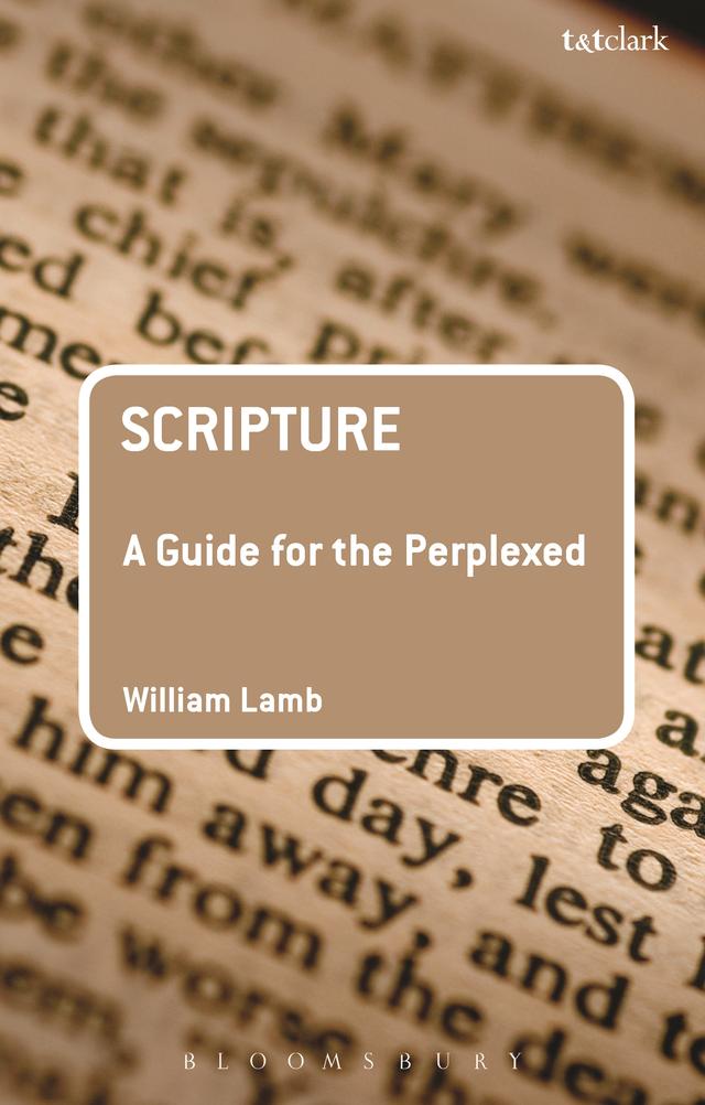 Scripture: A Guide for the Perplexed by William R S Lamb