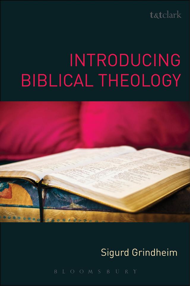 Introducing Biblical Theology by Sigurd Grindheim