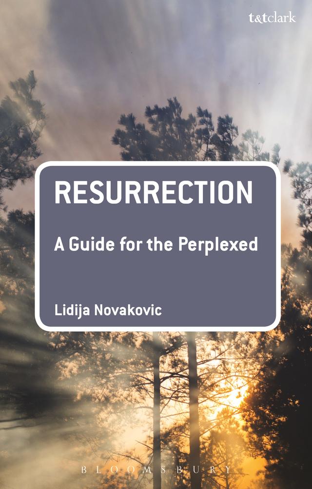 Resurrection: A Guide for the Perplexed by Lidija Novakovic
