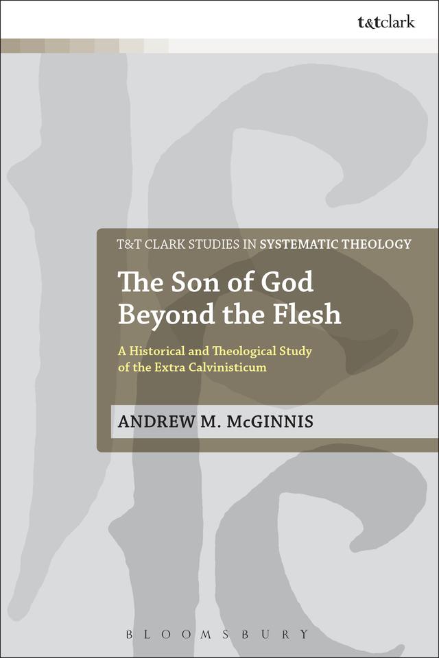 The Son of God Beyond the Flesh by Andrew M. McGinnis