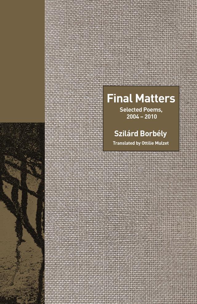 Final Matters by Ottilie Mulzet, Szilárd Borbély