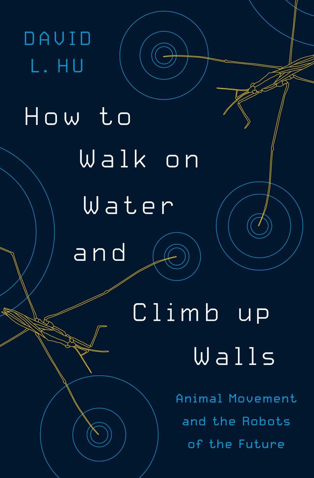 How to Walk on Water and Climb up Walls by David Hu