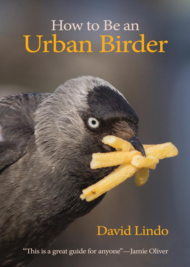 How to Be an Urban Birder by David Lindo, Jamie Oliver