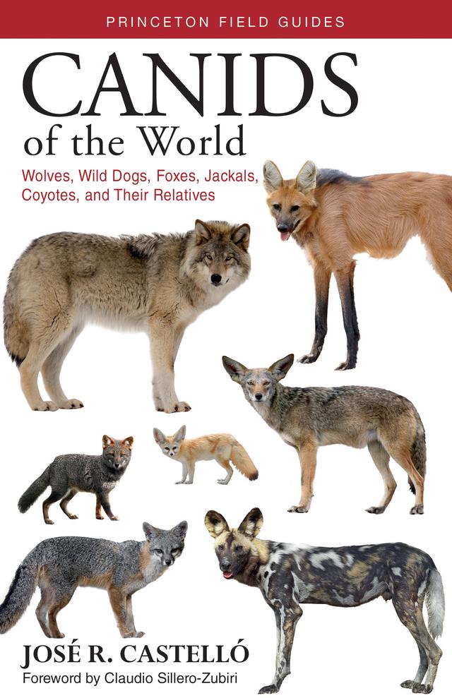 Canids of the World by Claudio Sillero-Zubiri, José R. Castelló